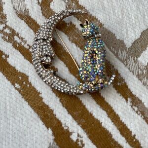 Rhinestone Cat and Moon Brooch